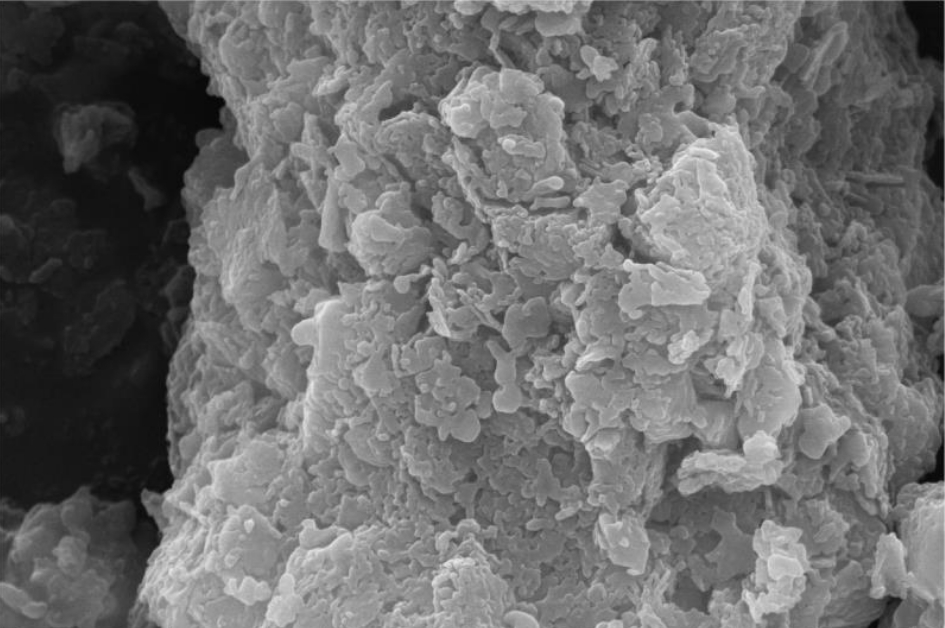 全发国际(集团)有限公司官网