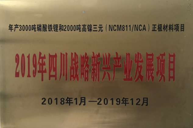 2019年四川战术新兴产业发展项目